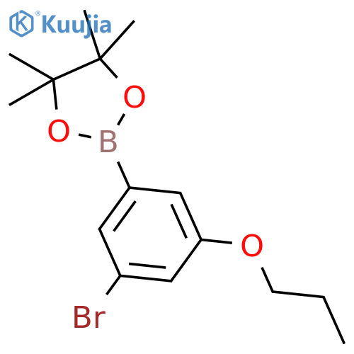3-Bromo-5-propoxyphenylboronic acid, pinacol ester structure