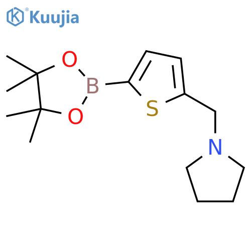 5-((Pyrrolidine)methyl)-2-thiopheneboronic Acid Pinacol Ester structure