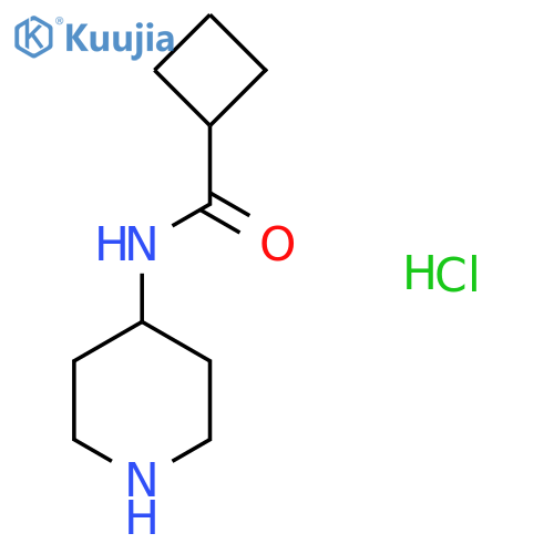 N-(piperidin-4-yl)cyclobutanecarboxamide hydrochloride structure