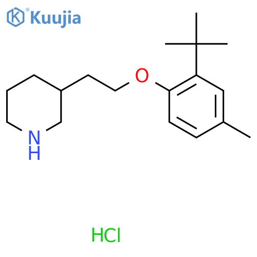 3-{2-2-(tert-Butyl)-4-methylphenoxy-ethyl}piperidine hydrochloride structure