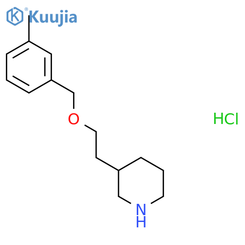 3-{2-(3-Methylbenzyl)oxyethyl}piperidinehydrochloride structure