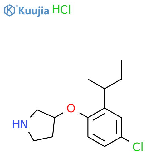 3-2-(sec-Butyl)-4-chlorophenoxypyrrolidinehydrochloride structure