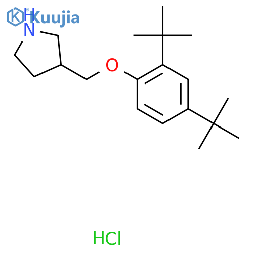 3-{2,4-Di(tert-butyl)phenoxymethyl}pyrrolidinehydrochloride structure