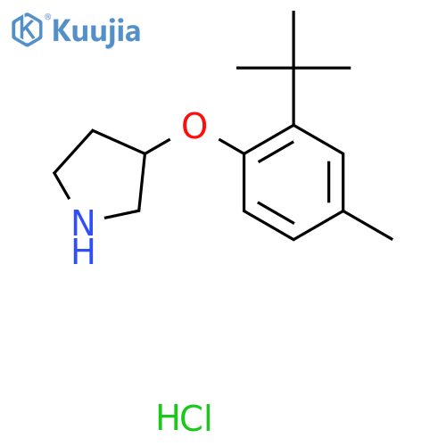3-2-(tert-Butyl)-4-methylphenoxypyrrolidinehydrochloride structure