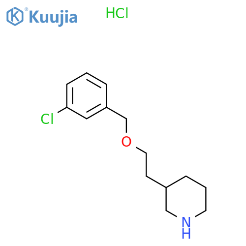 3-{2-(3-Chlorobenzyl)oxyethyl}piperidinehydrochloride structure