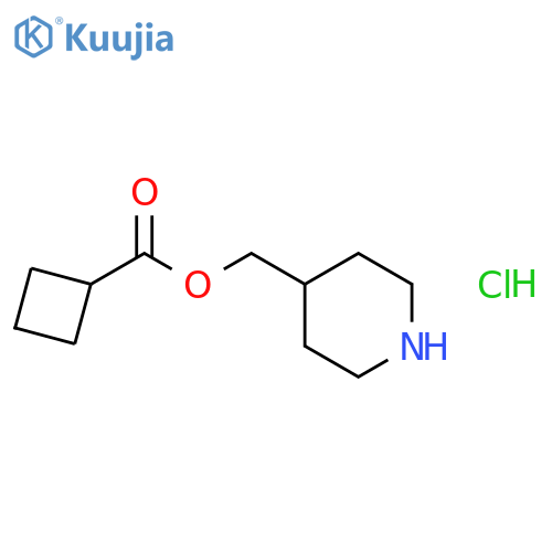 4-Piperidinylmethyl cyclobutanecarboxylate hydrochloride structure