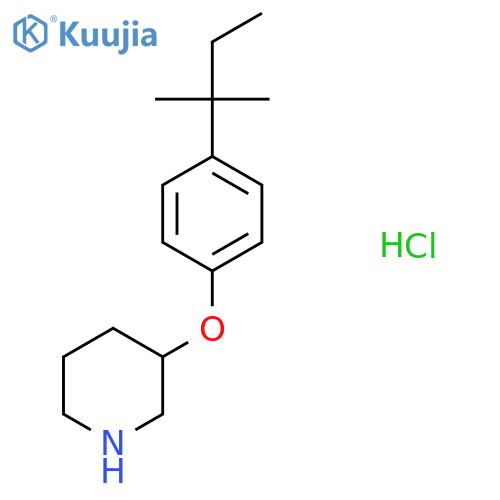 4-(tert-Pentyl)phenyl 3-piperidinyl etherhydrochloride structure