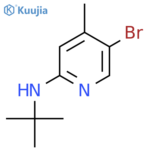 N-(5-Bromo-4-methyl-2-pyridinyl)-N-(tert-butyl)amine structure