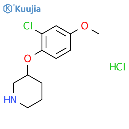 2-Chloro-4-methoxyphenyl 3-piperidinyl etherhydrochloride structure