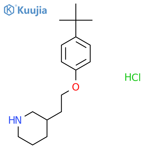 3-{2-4-(tert-Butyl)phenoxyethyl}piperidinehydrochloride structure