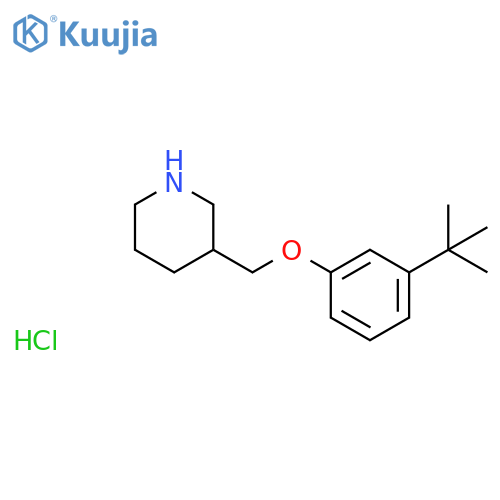 3-(tert-Butyl)phenyl 3-piperidinylmethyl etherhydrochloride structure