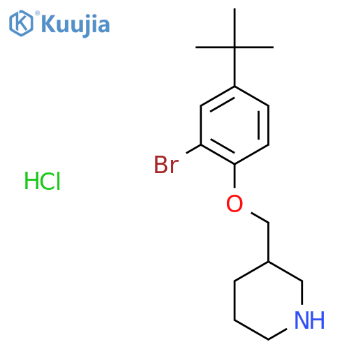 2-Bromo-4-(tert-butyl)phenyl 3-piperidinylmethylether hydrochloride structure