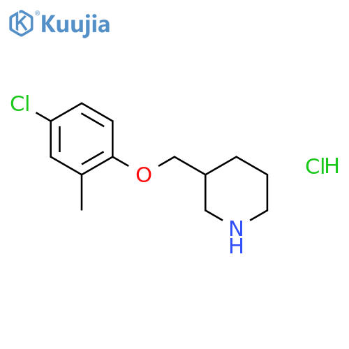4-Chloro-2-methylphenyl 3-piperidinylmethyl etherhydrochloride structure