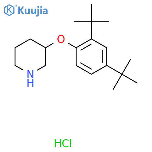 3-2,4-Di(tert-butyl)phenoxypiperidinehydrochloride structure