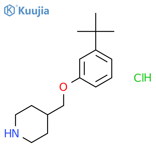 3-(tert-Butyl)phenyl 4-piperidinylmethyl etherhydrochloride structure