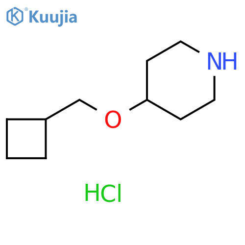 4-(Cyclobutylmethoxy)piperidine hydrochloride structure