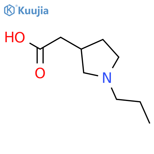 2-(1-propylpyrrolidin-3-yl)acetic acid structure