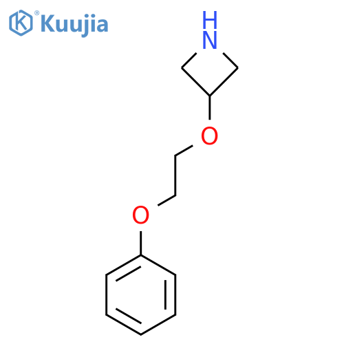 3-(2-Phenoxyethoxy)azetidine structure