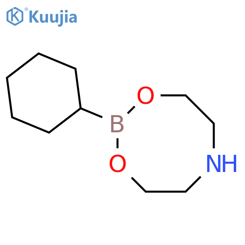 2-Cyclohexyl-1,3,6,2-dioxazaborocane structure