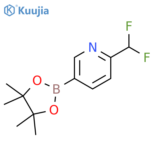 2-(difluoromethyl)-5-(4,4,5,5-tetramethyl-1,3,2-dioxaborolan-2-yl)pyridine structure