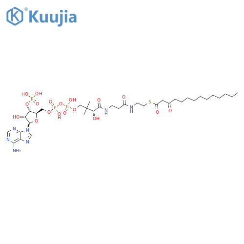 Coenzyme A, S-(3-oxotetradecanoate) structure
