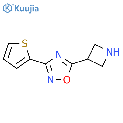 5-(Azetidin-3-yl)-3-(thiophen-2-yl)-1,2,4-oxadiazole structure