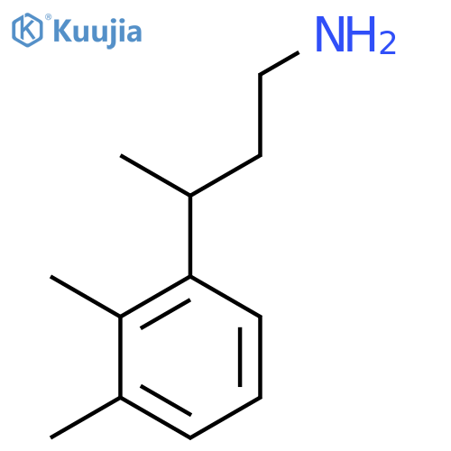 3-(2,3-dimethylphenyl)butan-1-amine structure