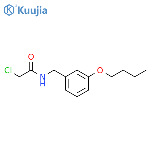 N-(3-Butoxyphenyl)methyl-2-chloroacetamide structure
