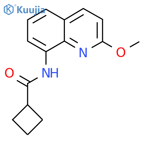 N-(2-methoxyquinolin-8-yl)cyclobutanecarboxamide structure