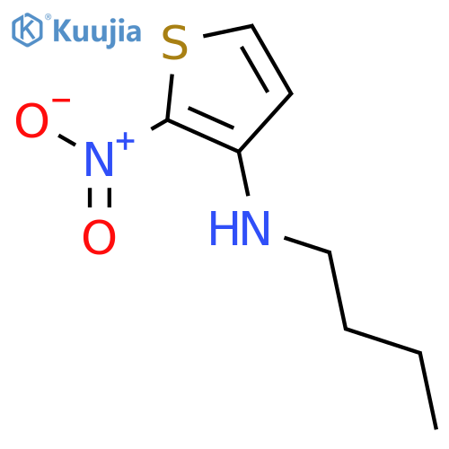 3-Thiophenamine,N-butyl-2-nitro- structure