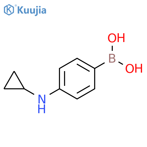 4-(cyclopropylaMino)phenylboronic acid structure