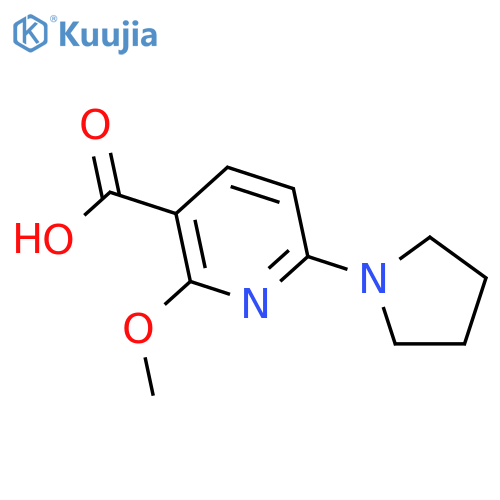 2-Methoxy-6-(pyrrolidin-1-yl)nicotinic acid structure