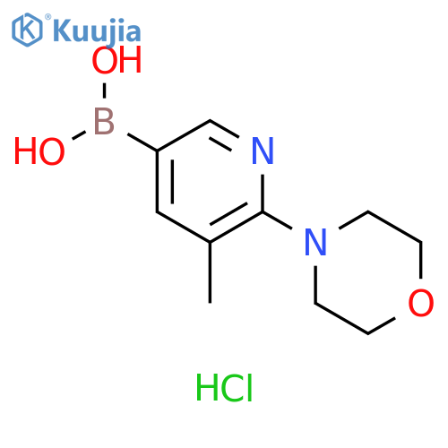 5-Methyl-6-morpholinopyridin-3-ylboronic acidhydrochloride structure