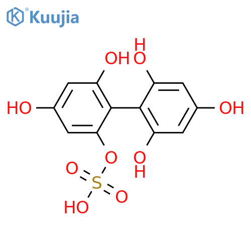 2,2',4,4',6,6'-Biphenylhexol; 2-O-Sulfate structure