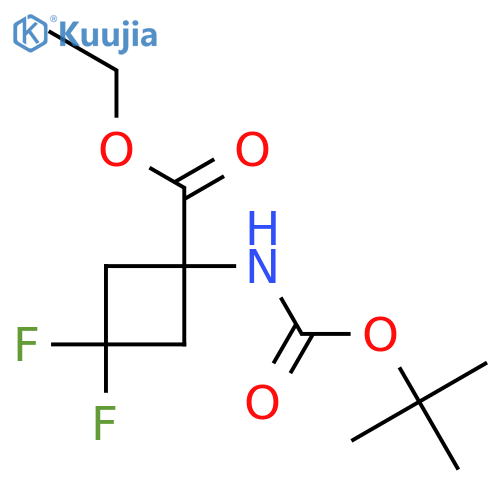 ethyl 1-(tert-butoxycarbonylamino)-3,3-difluoro-cyclobutanecarboxylate structure