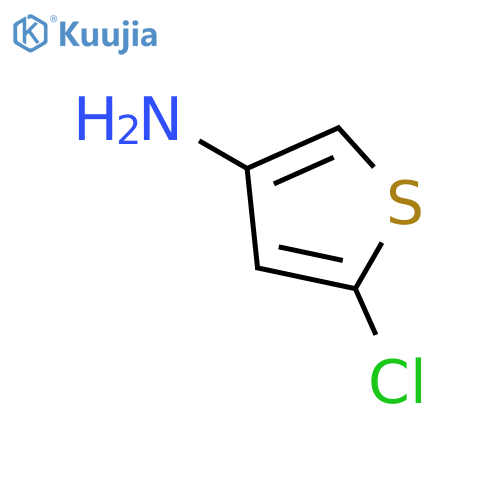 5-chlorothiophen-3-amine structure