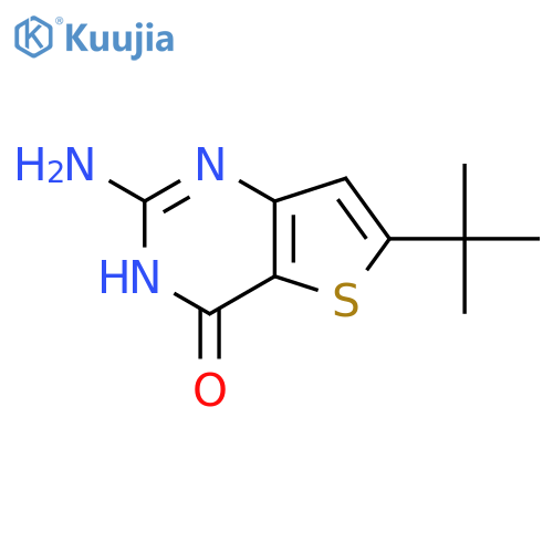 2-AMINO-6-(TERT-BUTYL)THIENO[3,2-D]PYRIMIDIN-4-OL structure
