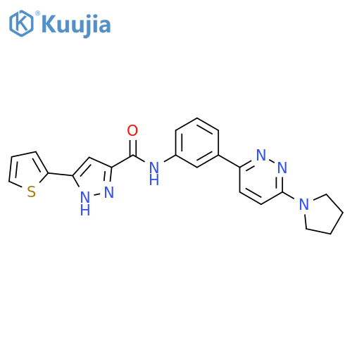 N-{3-[6-(pyrrolidin-1-yl)pyridazin-3-yl]phenyl}-3-(thiophen-2-yl)-1H-pyrazole-5-carboxamide structure