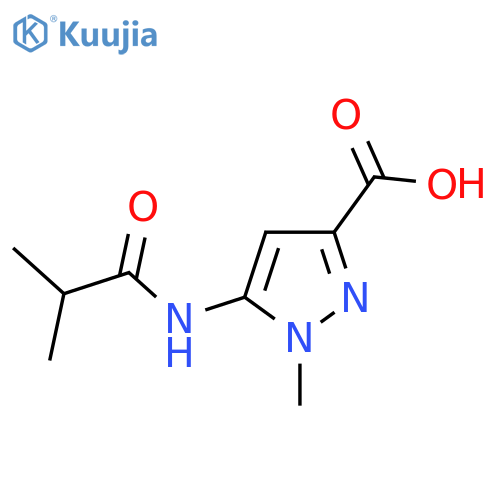 5-Isobutyramido-1-methyl-1H-pyrazole-3-carboxylic acid structure