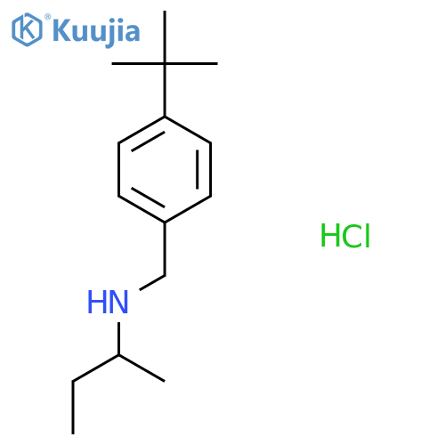 (Butan-2-yl)[(4-tert-butylphenyl)methyl]amine hydrochloride structure