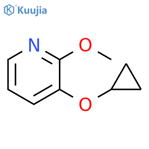 3-cyclopropoxy-2-methoxypyridine structure