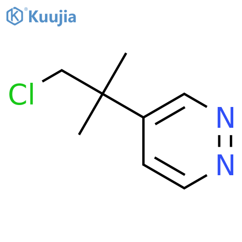 Pyridazine, 4-(2-chloro-1,1-dimethylethyl)- structure