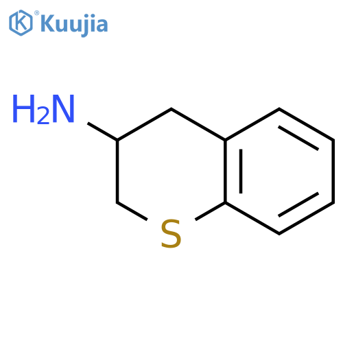 3,4-dihydro-2H-1-benzothiopyran-3-amine structure