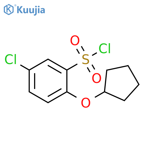 5-chloro-2-(cyclopentyloxy)benzene-1-sulfonyl chloride structure