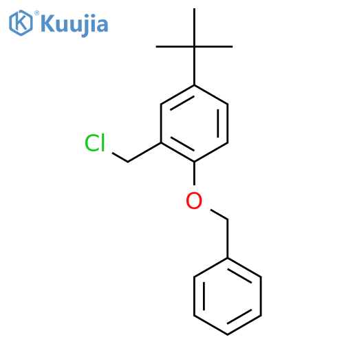 1-(Benzyloxy)-4-(tert-butyl)-2-(chloromethyl)benzene structure
