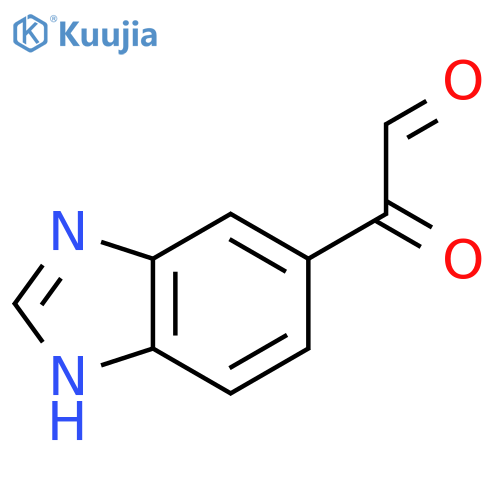 1H-Benzimidazole-5-acetaldehyde,alpha-oxo-(9CI) structure