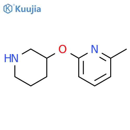 2-methyl-6-(piperidin-3-yloxy)pyridine structure