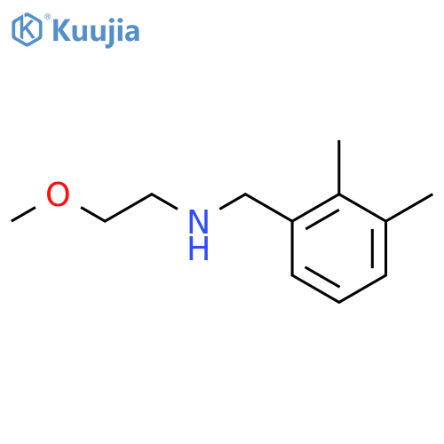 (2,3-dimethylphenyl)methyl(2-methoxyethyl)amine structure