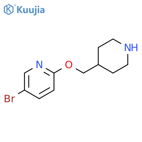 5-bromo-2-[(piperidin-4-yl)methoxy]pyridine structure