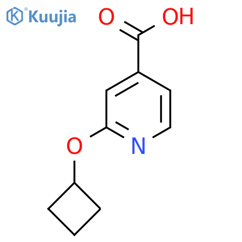 2-Cyclobutoxypyridine-4-carboxylic acid structure